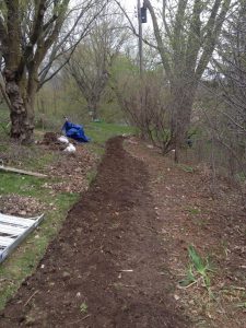 Landscaping boarder is rota-tilled and ready for planting services
